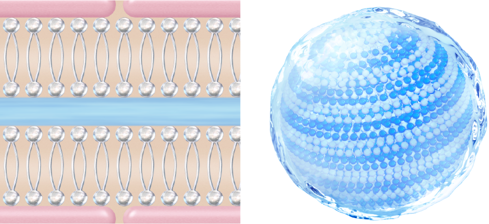 イメージ図