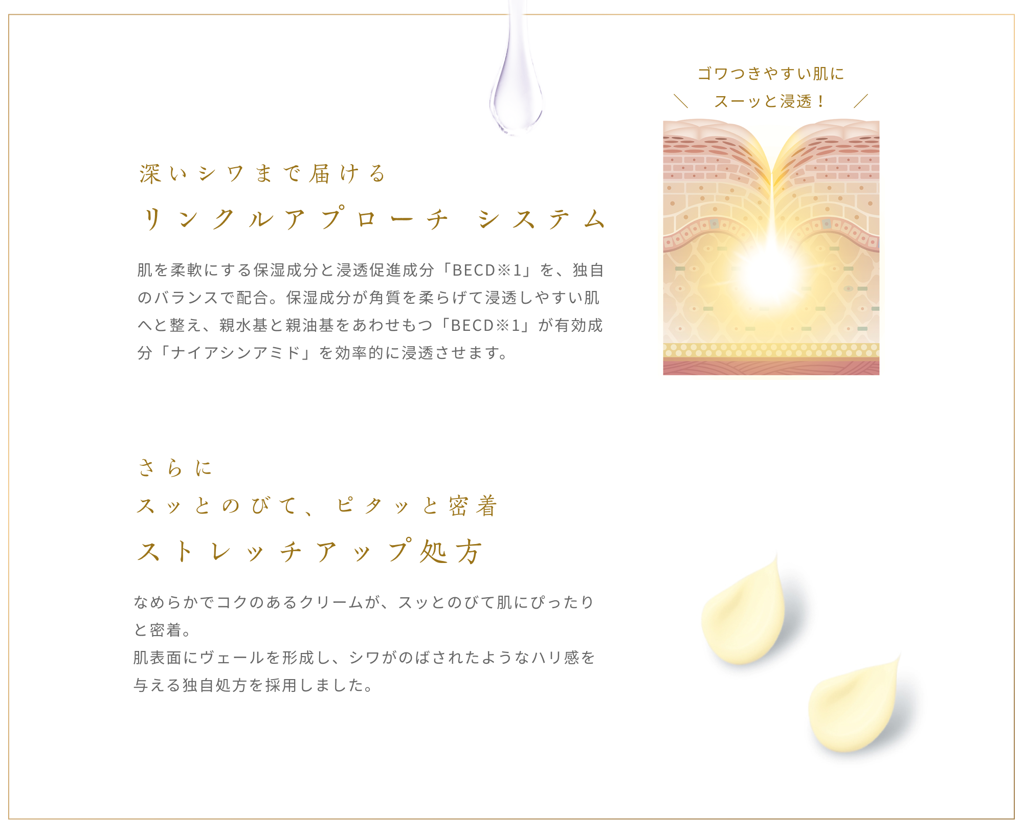 保湿スキンケア、エイジングケア、化粧品のミキモトコスメティックス 保湿スキンケア、エイジングケア、化粧品のミキモトコスメティックス