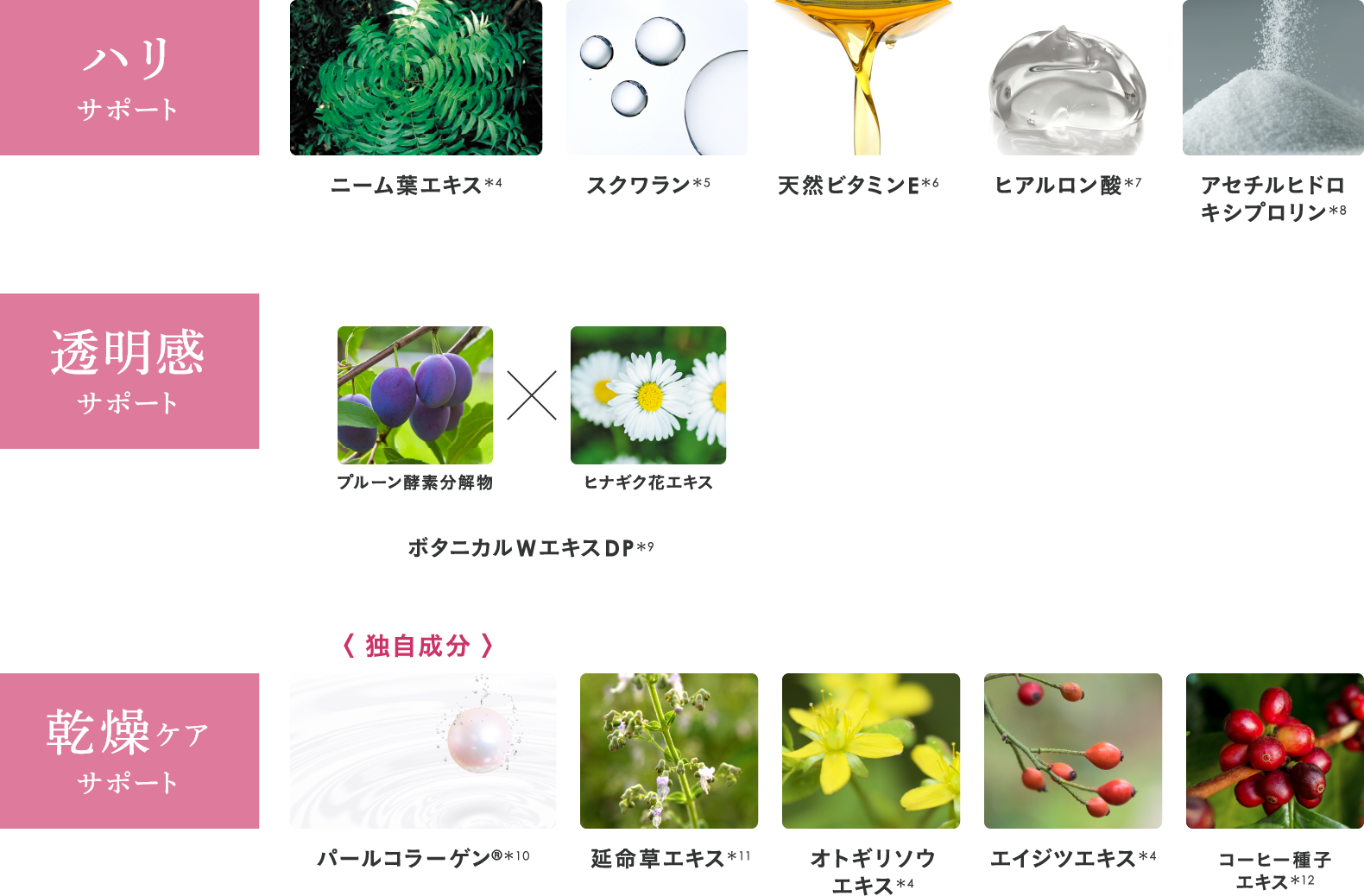 リンクル＆ホワイト スキンパーフェクション ジェル｜スキンケア
